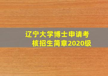 辽宁大学博士申请考核招生简章2020级