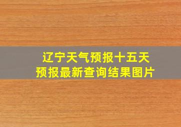 辽宁天气预报十五天预报最新查询结果图片