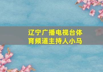 辽宁广播电视台体育频道主持人小马