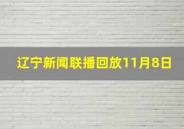 辽宁新闻联播回放11月8日