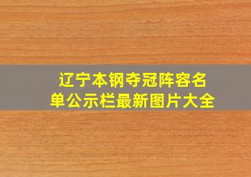 辽宁本钢夺冠阵容名单公示栏最新图片大全