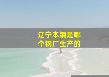 辽宁本钢是哪个钢厂生产的