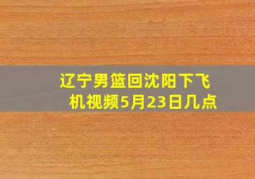 辽宁男篮回沈阳下飞机视频5月23日几点