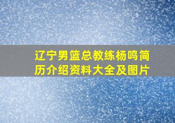 辽宁男篮总教练杨鸣简历介绍资料大全及图片