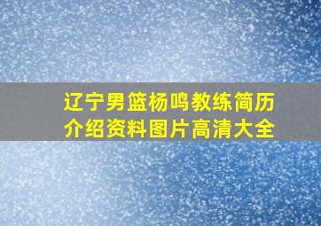 辽宁男篮杨鸣教练简历介绍资料图片高清大全