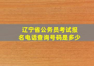 辽宁省公务员考试报名电话查询号码是多少