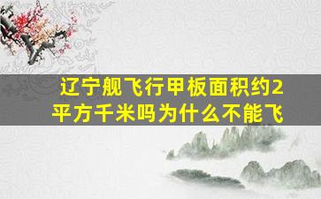 辽宁舰飞行甲板面积约2平方千米吗为什么不能飞