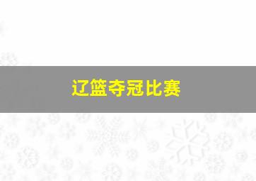 辽篮夺冠比赛