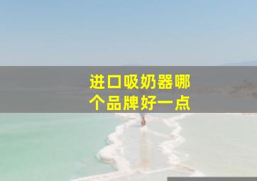 进口吸奶器哪个品牌好一点