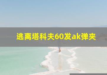 逃离塔科夫60发ak弹夹