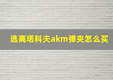 逃离塔科夫akm弹夹怎么买