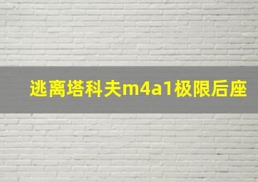 逃离塔科夫m4a1极限后座