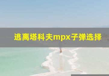 逃离塔科夫mpx子弹选择