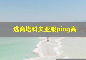 逃离塔科夫亚服ping高