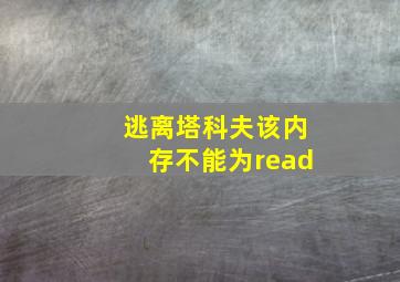 逃离塔科夫该内存不能为read