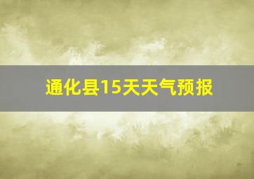 通化县15天天气预报