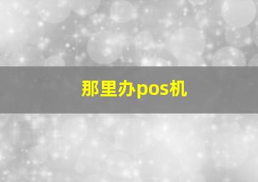 那里办pos机