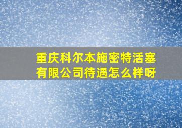 重庆科尔本施密特活塞有限公司待遇怎么样呀