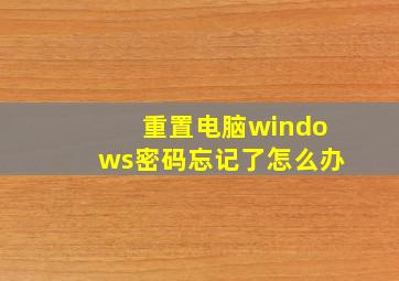 重置电脑windows密码忘记了怎么办