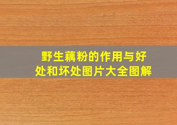 野生藕粉的作用与好处和坏处图片大全图解