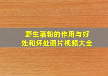 野生藕粉的作用与好处和坏处图片视频大全