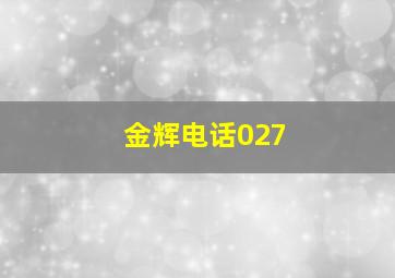 金辉电话027