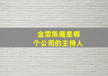 金霏陈曦是哪个公司的主持人