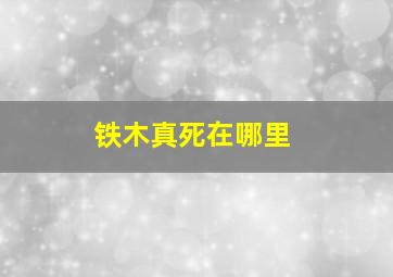 铁木真死在哪里