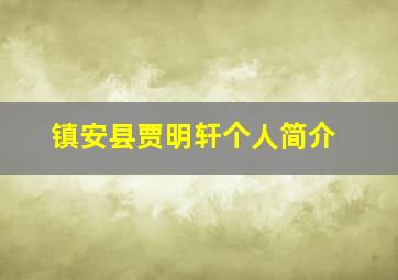 镇安县贾明轩个人简介