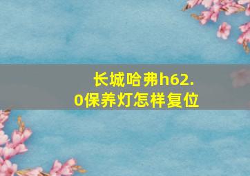 长城哈弗h62.0保养灯怎样复位