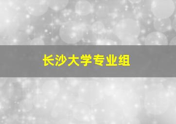 长沙大学专业组