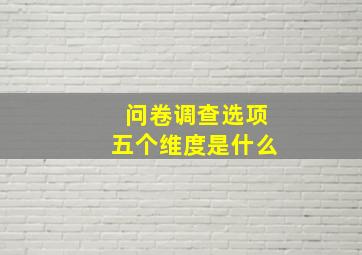 问卷调查选项五个维度是什么