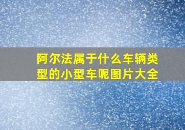 阿尔法属于什么车辆类型的小型车呢图片大全