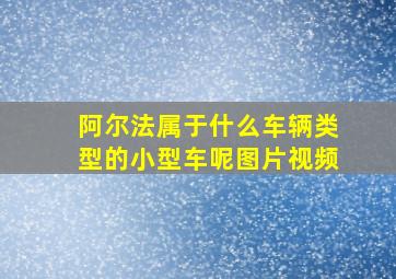 阿尔法属于什么车辆类型的小型车呢图片视频