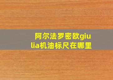 阿尔法罗密欧giulia机油标尺在哪里