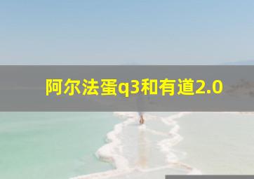 阿尔法蛋q3和有道2.0