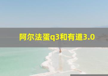 阿尔法蛋q3和有道3.0