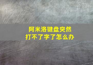 阿米洛键盘突然打不了字了怎么办