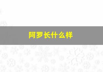 阿罗长什么样