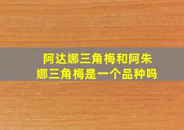 阿达娜三角梅和阿朱娜三角梅是一个品种吗