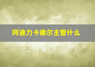 阿迪力卡德尔主管什么