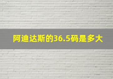 阿迪达斯的36.5码是多大