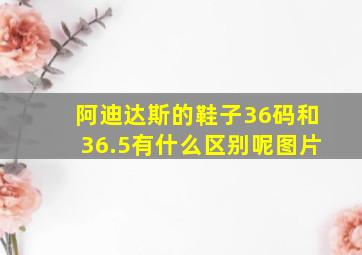 阿迪达斯的鞋子36码和36.5有什么区别呢图片