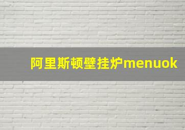 阿里斯顿壁挂炉menuok