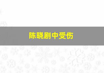 陈晓剧中受伤