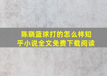 陈晓篮球打的怎么样知乎小说全文免费下载阅读