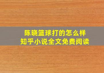 陈晓篮球打的怎么样知乎小说全文免费阅读