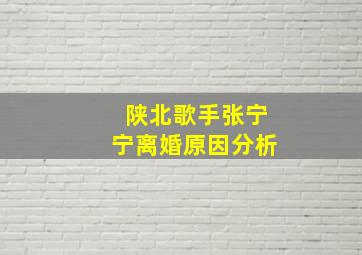 陕北歌手张宁宁离婚原因分析