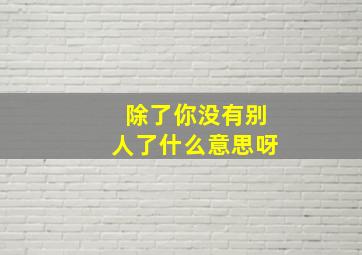 除了你没有别人了什么意思呀