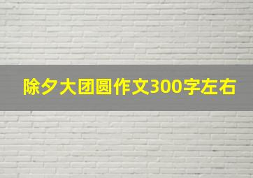 除夕大团圆作文300字左右